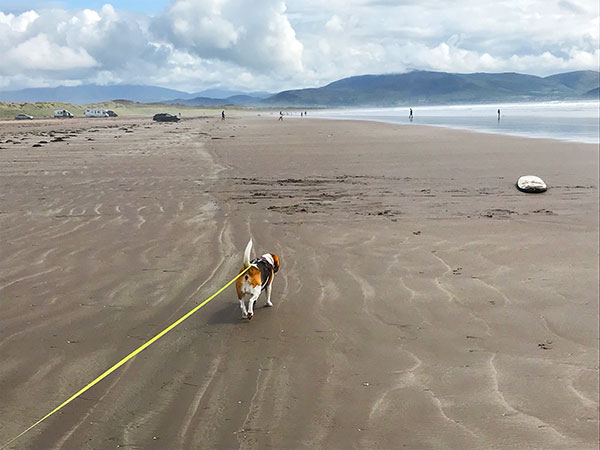 Wild Atlantic Way: Inch Beach