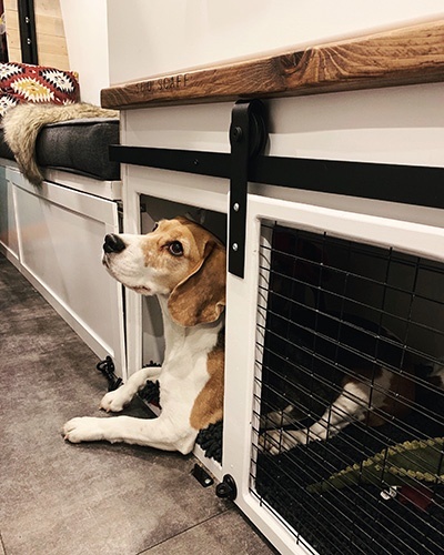 Piglet in her Dog Van Bed