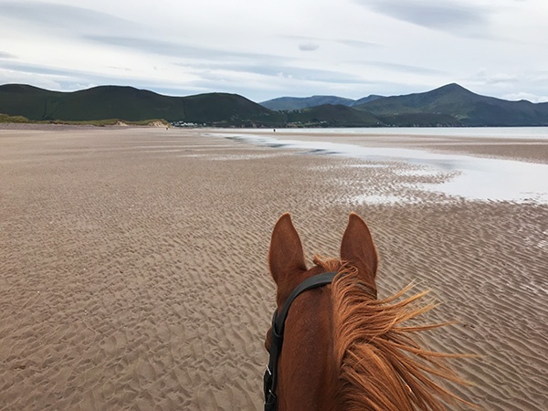 Horse Riding on the Wild Atlantic Way