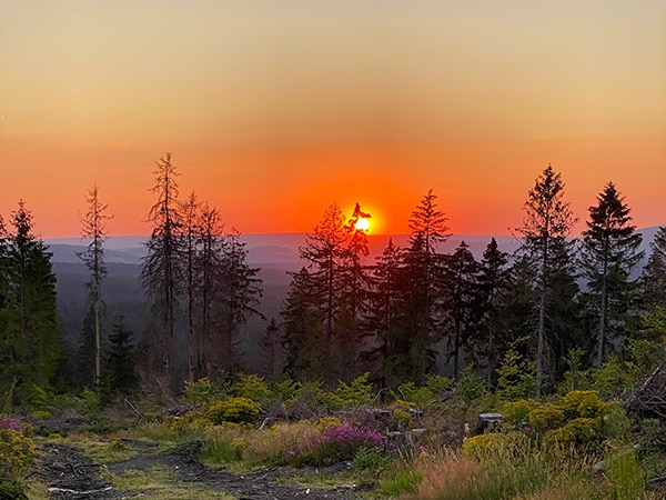 Van Life Germany: Harz mountains