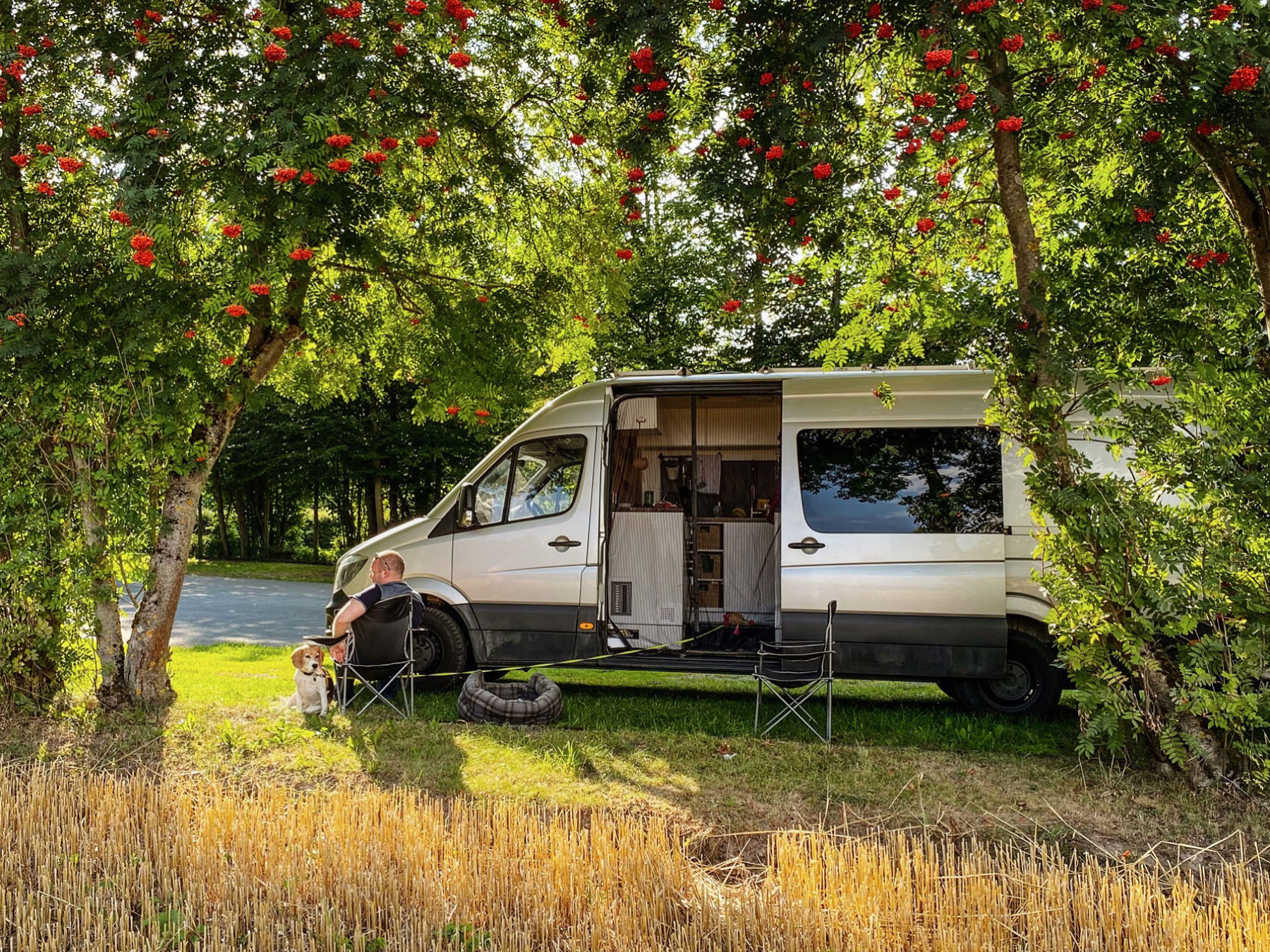 Wild Camping in Germany