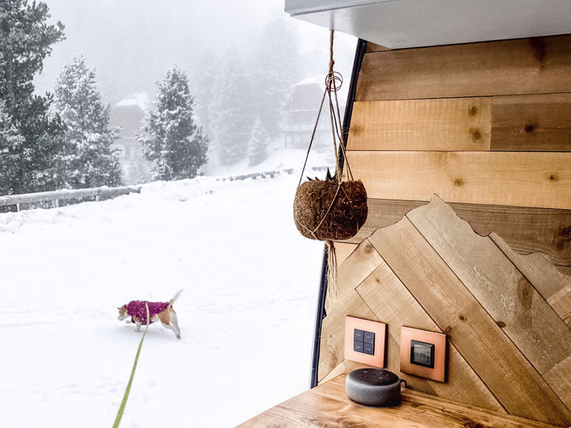 Piglet running in the snow outside our van in Austria