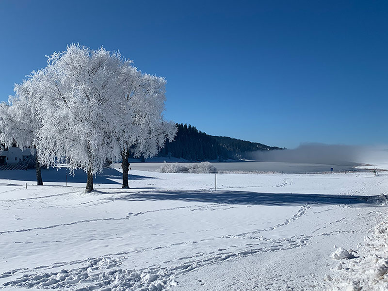 Snowy view from the free campervan parking at La Brévine