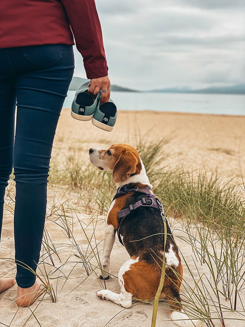 mahabis camping slippers used at a beach for dog walking