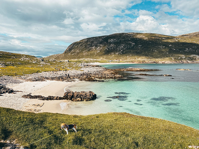 Looking down over Huisinis Beach with golden sands and turquoise waters